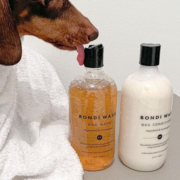 BONDI WASH DOG CARE